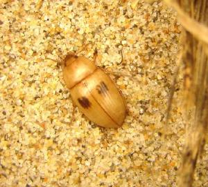 Photo: Fabien Soldati 