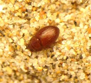 Photo: Fabien Soldati 