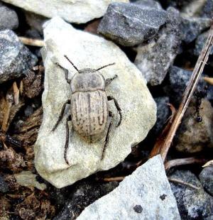 Photo: Fabien Soldati 